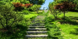 promenade-beautiful-city-park