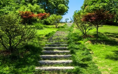 Types of Landscapes in Atlanta: A Comprehensive Guide for Homeowners