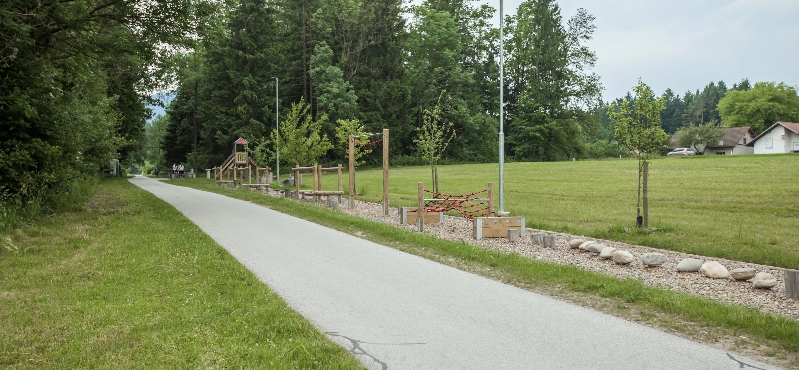 wide-shot-bike-road-playground-near-tall-trees